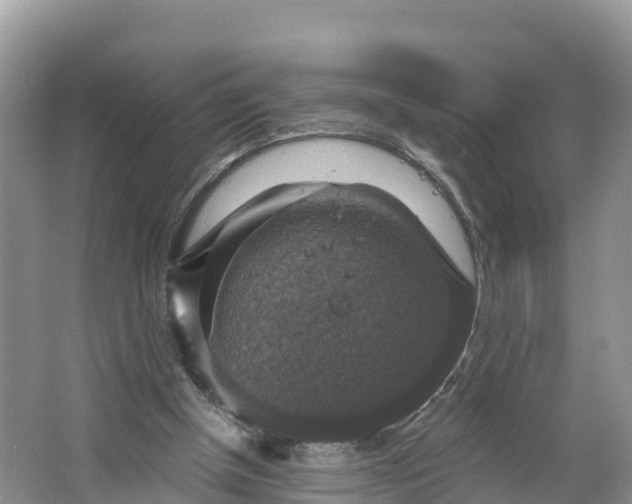 X0000064740154200602241811