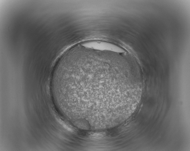 X0000064740155200602241811