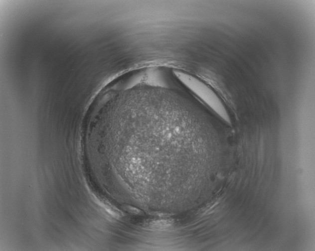 X0000064740156200602241811