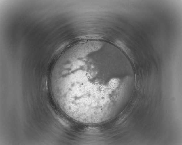 X0000064740157200602241811