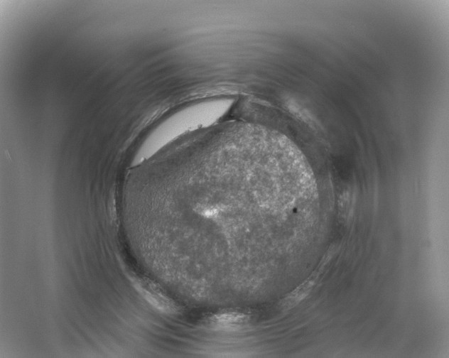 X0000064740158200602241811