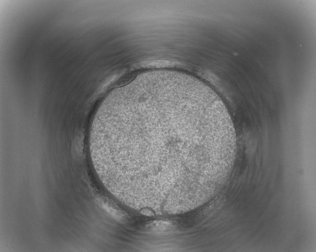 X0000064740159200602241811