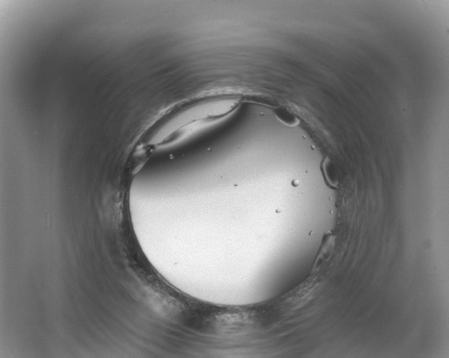 X0000064740160200602241811