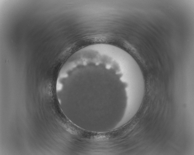 X0000064740161200602241811