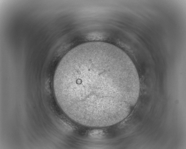 X0000064740162200602241811