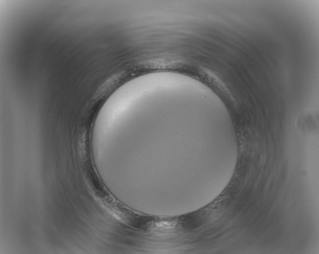 X0000064740163200602241811