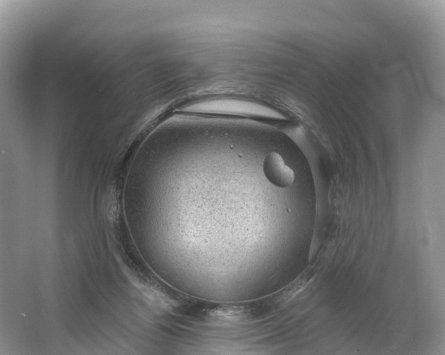 X0000064740164200602241811