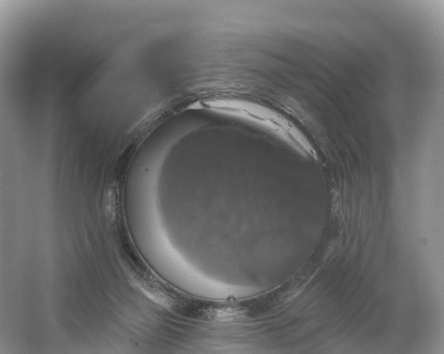 X0000064740165200602241811