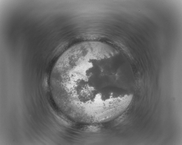 X0000064740166200602241811