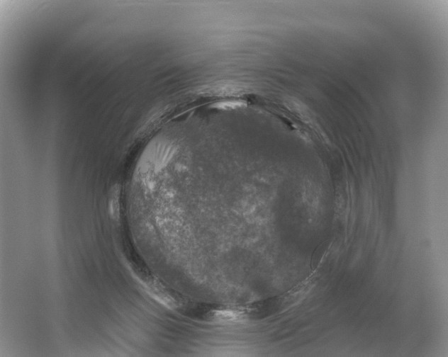 X0000064740167200602241811