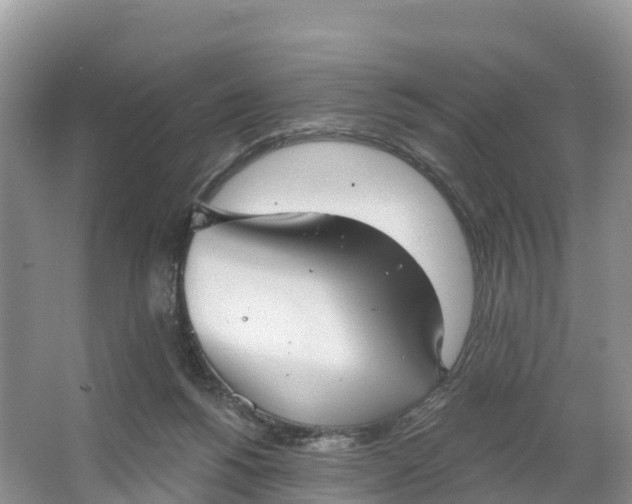 X0000064740168200602241811