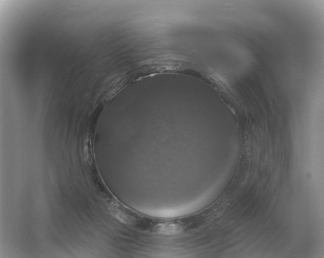 X0000064740169200602241811