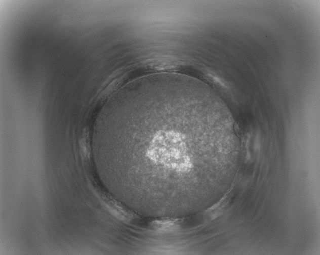 X0000064740170200602241811