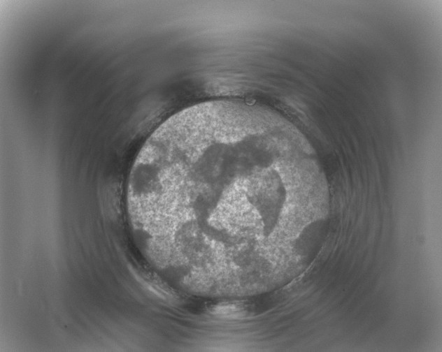 X0000064740171200602241811