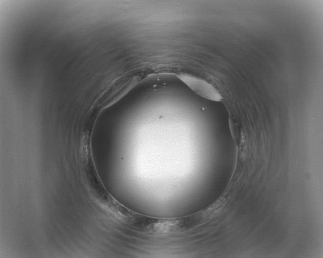 X0000064740172200602241811