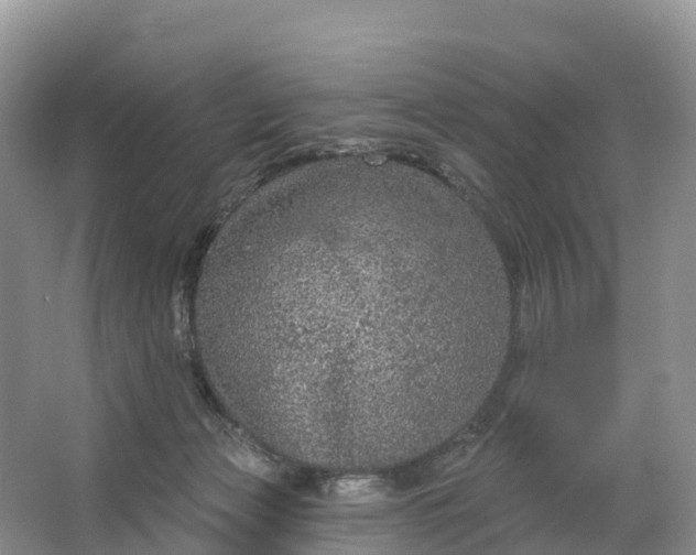 X0000064740173200602241811