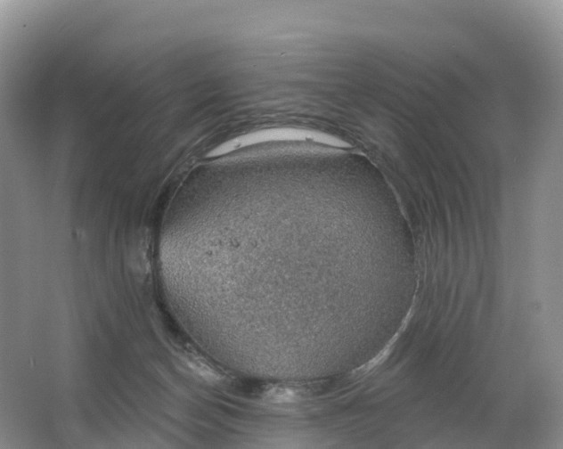 X0000064740174200602241811