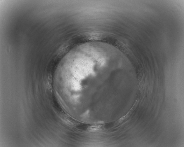 X0000064740175200602241811