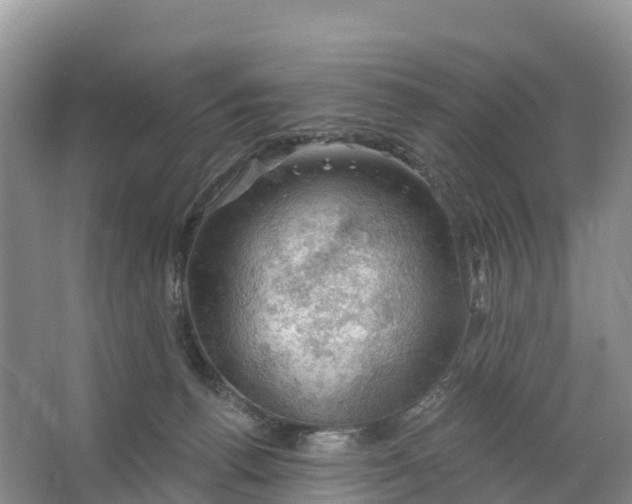 X0000064740176200602241811