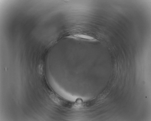 X0000064740177200602241811