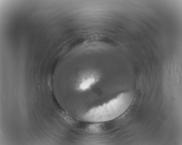 X0000064740178200602241811