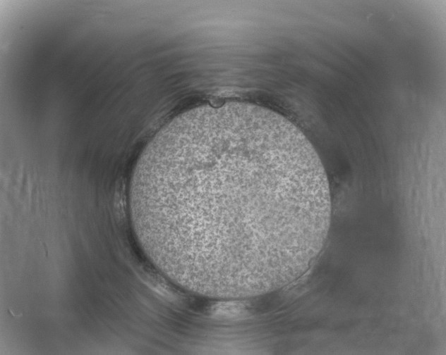 X0000064740179200602241811