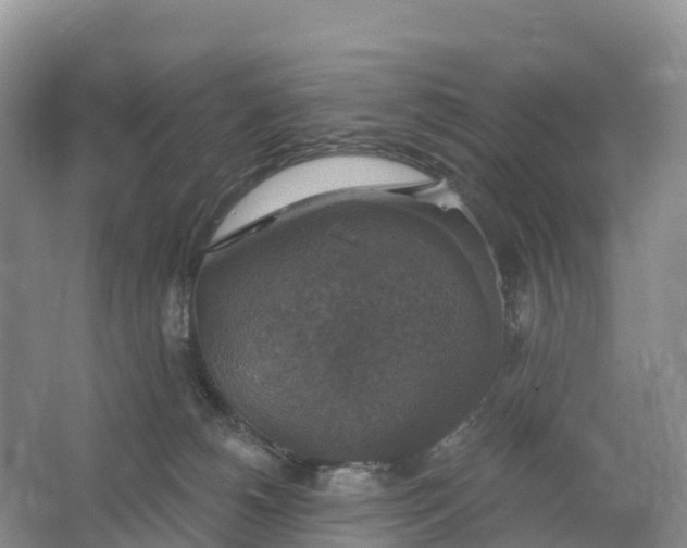 X0000064740180200602241811