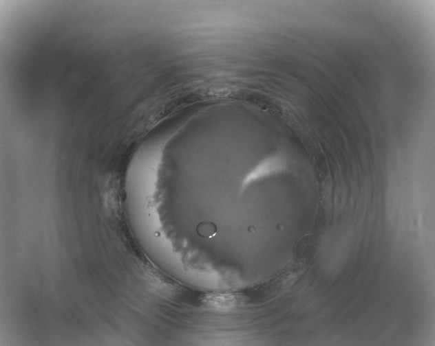 X0000064740181200602241811