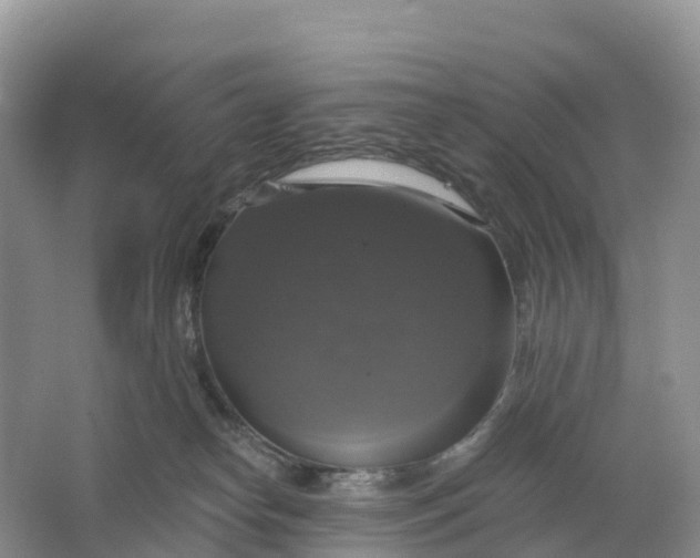 X0000064740182200602241811