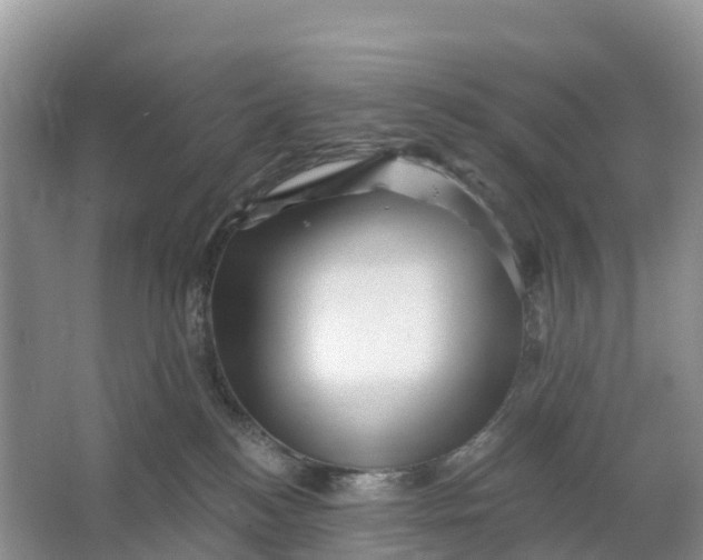 X0000064740184200602241811