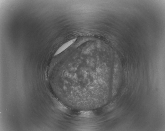 X0000064740185200602241811