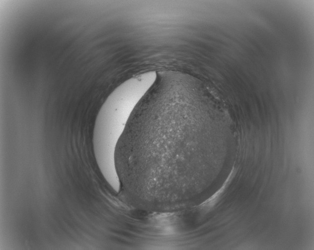 X0000064740186200602241811