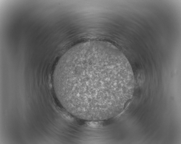 X0000064740187200602241811