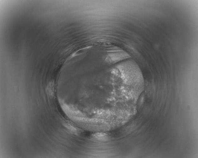 X0000064740189200602241811