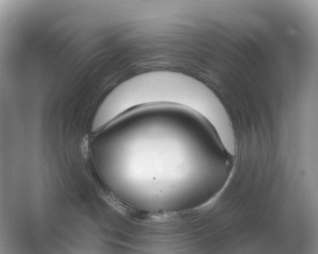 X0000064740190200602241811