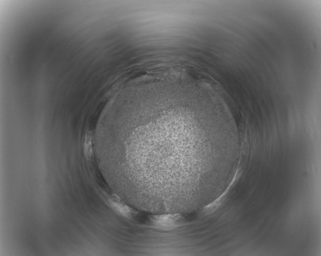 X0000064740191200602241811