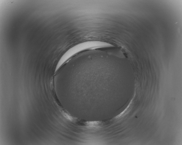 X0000064740192200602241811