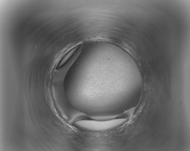 X0000064740193200602241810