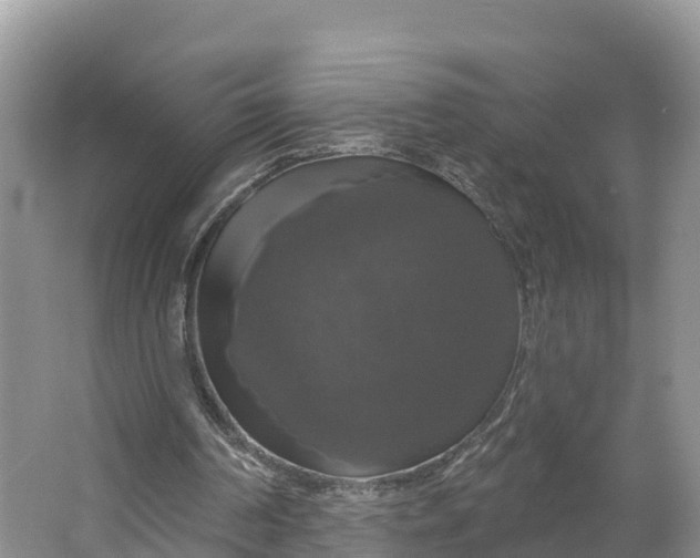 X0000064740194200602241810