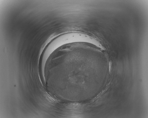 X0000064740195200602241810