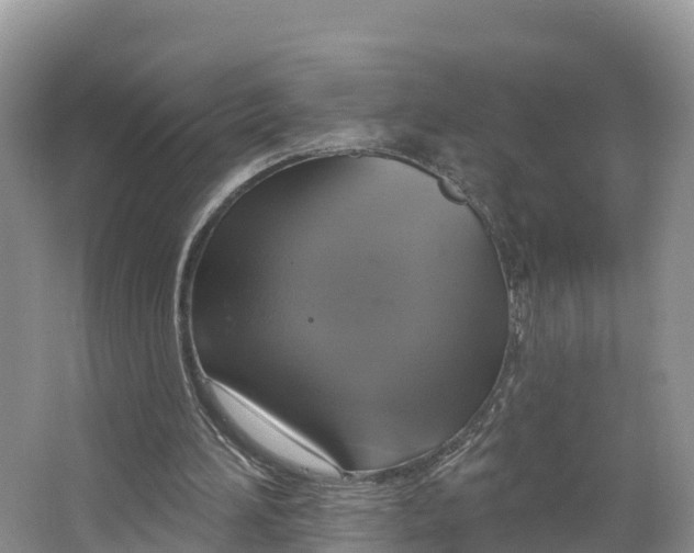 X0000064740196200602241810