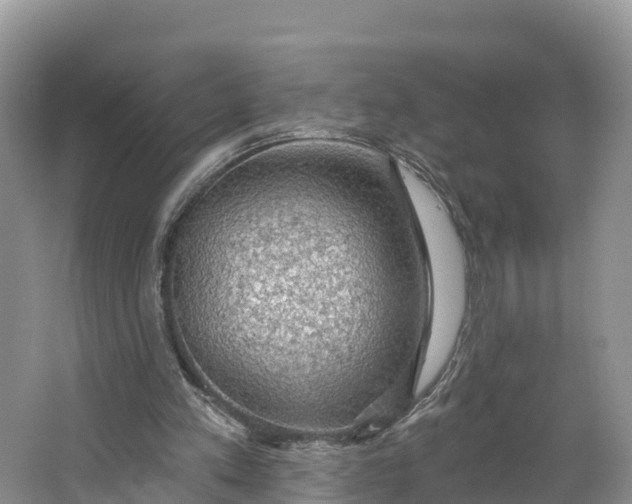 X0000064740197200602241810