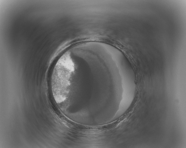 X0000064740198200602241810