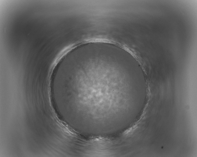 X0000064740199200602241810