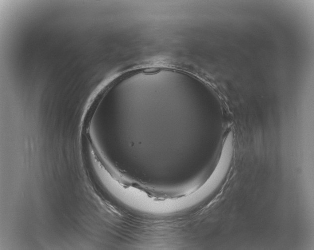 X0000064740200200602241810