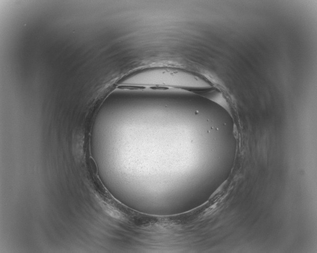 X0000064740201200602241810