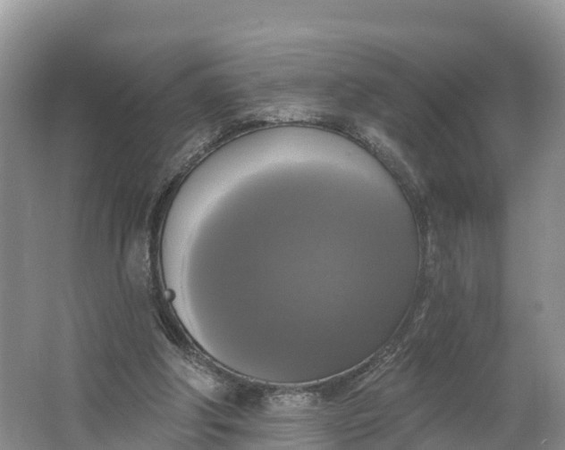 X0000064740202200602241810