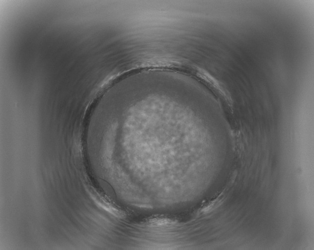 X0000064740203200602241810