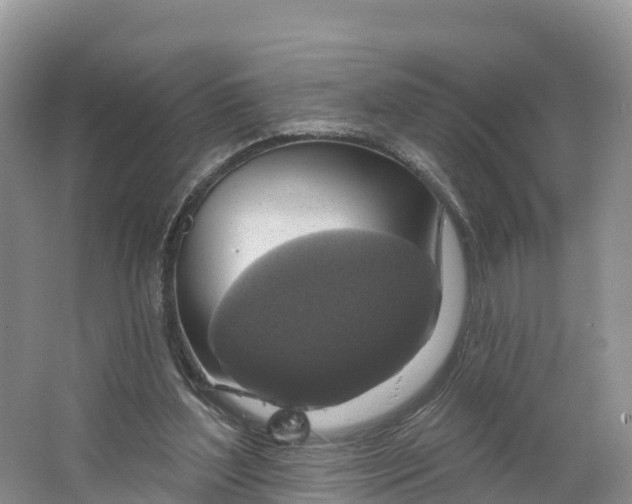 X0000064740204200602241810