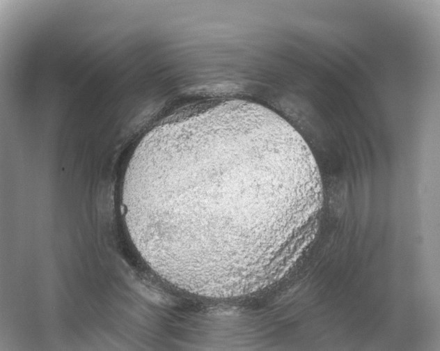 X0000064740206200602241810